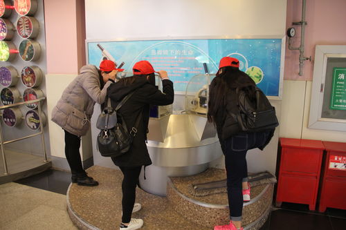 樂于探索，熱愛科學 酒店管理系青年志愿者赴科技館開展專業融合之旅